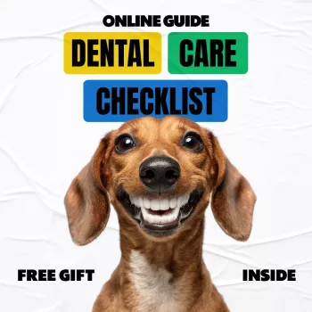 Printable Dental Checklist for Dogs & Cats (Daily/Weekly)